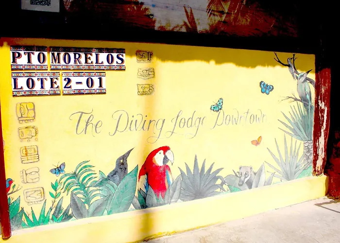 The Diving Downtown Puerto Morelos